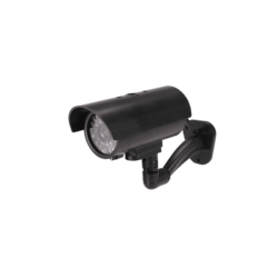 product24