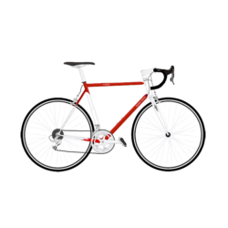 cycle 5 1