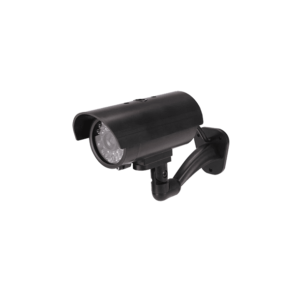 product24